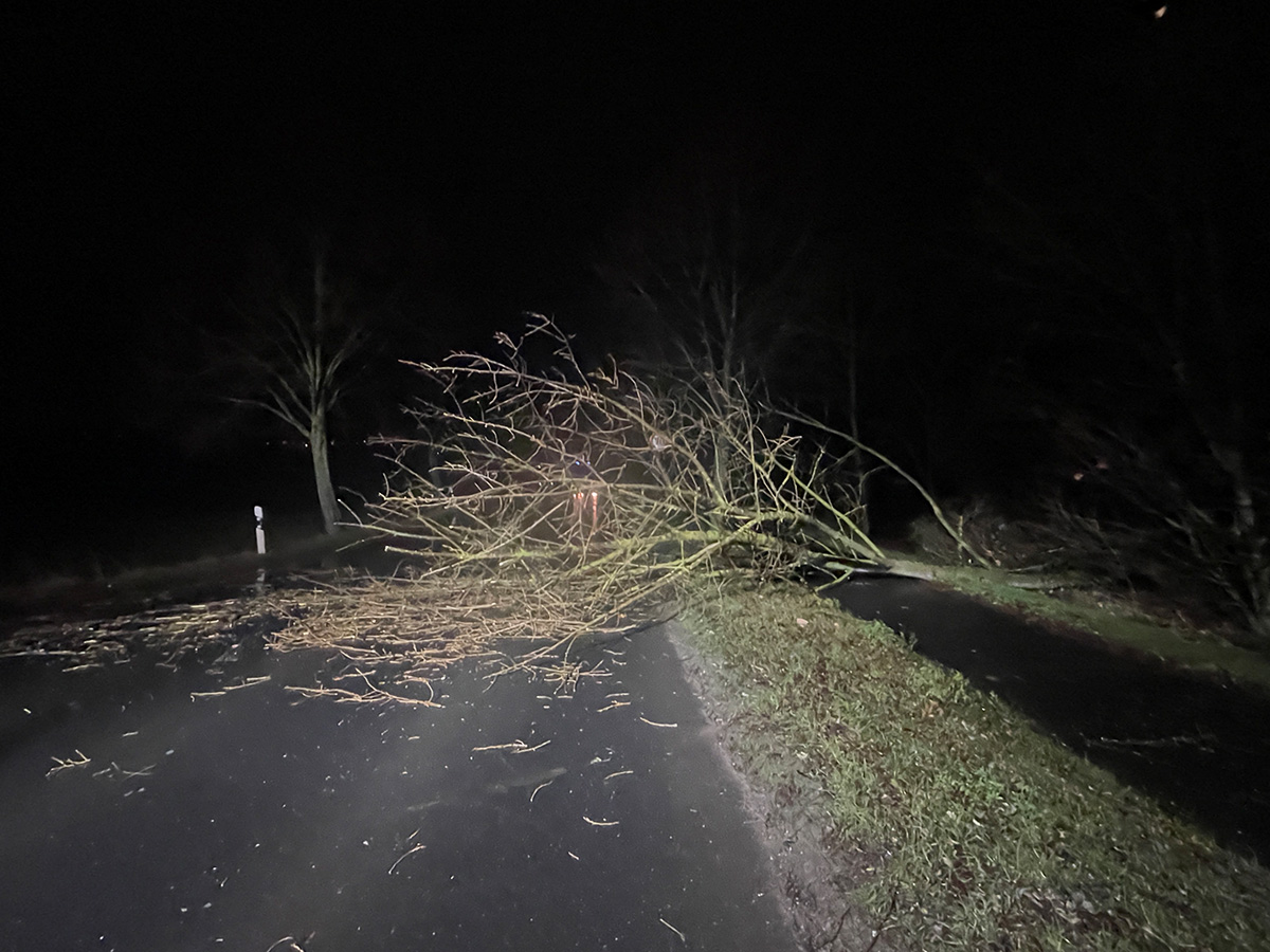 Baum auf Straße gefallen durch Sturm